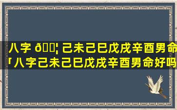 八字 🐦 己未己巳戊戌辛酉男命「八字己未己巳戊戌辛酉男命好吗」